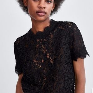 Zara Lace Crop Top